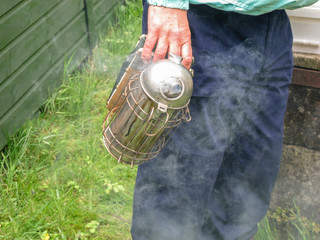 Beekeeper holding a smoking smoker before using it to open a beehive
