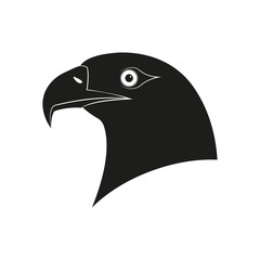 Eagle Head logo. Bird Mascot symbol. Hawk or Falkon icon. Vector illustration.