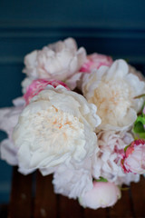 white and pink peonies