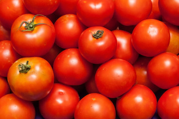  Tomato (Lycopersicon esculentum Mill)