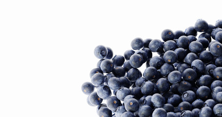 Blueberry background, ultra realistic 3d rendering