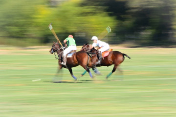 The speed at a polo match