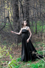 free dragon in autumn