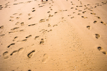 Footprints in sand