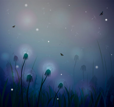summer night, fairy dandelion at night, fireflight,