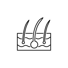 human organ epidermis outline icon. Signs and symbols can be used for web, logo, mobile app, UI, UX