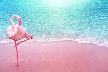 Gardinen rosafarbener Flamingovogel-Sandstrand und weicher blauer Ozeanwellensommerkonzepthintergrund © OHishi_Foto
