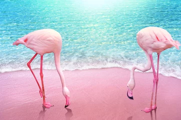 Foto op Plexiglas anti-reflex pink flamingo on pink sandy beach and soft blue ocean wave summer concept background © OHishi_Foto