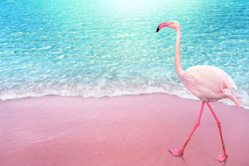 Fotobehang roze flamngo vogel zandstrand en zachte blauwe oceaangolf zomer concept achtergrond © OHishi_Foto
