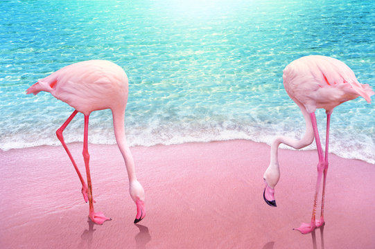 pink flamingo on pink sandy beach and soft blue ocean wave summer concept background
