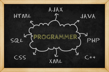 Programmer mind mapping with hand drawn style on blackboard , Concept design for presentations and reports