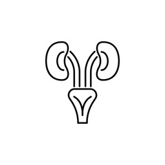 human organ kidneys outline icon. Signs and symbols can be used for web, logo, mobile app, UI, UX