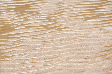 sand on beach background