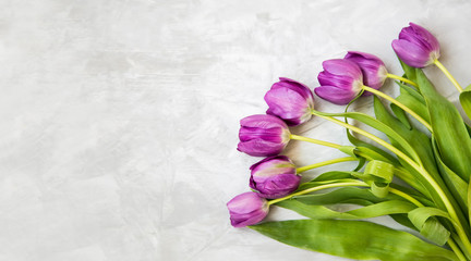 Spring purple tulips bouquet, spring flowers bouquet on white background, top view, spring greeting card