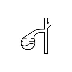 human organ gallbladder outline icon. Signs and symbols can be used for web, logo, mobile app, UI, UX