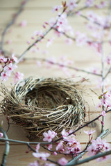 Empty bird nest with the pink, litte flower of japanese plum tree