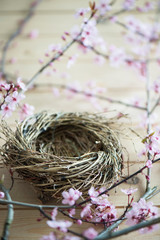 Naklejka premium Empty bird nest with the pink, litte flower of japanese plum tree