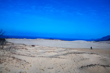 鳥取砂丘の風紋、早春の晴れた日