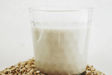 Plant milk. Oat grains milk on white background. Healthy food