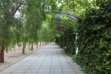 Parc del Centre del Poblenou