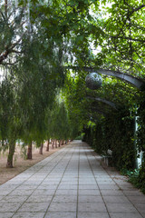 Parc del Centre del Poblenou