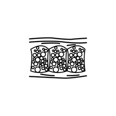 human organ cellulite outline icon. Signs and symbols can be used for web, logo, mobile app, UI, UX