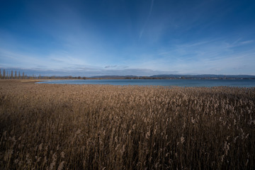 Bodensee