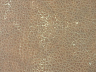 Background of leather.