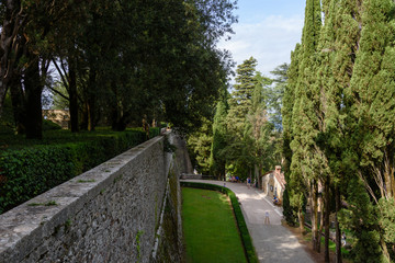 Auf dem gebiet um das  Castello di Brolio welches der Familie Ricasoli gehört werden hervorragende Rot und Weißweine gekeltert. Insbesondere der Chianti Classico