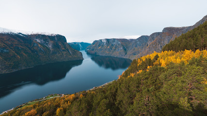 Fototapeta na wymiar Blick auf den Aurlandsfjord an einem bedeckten Herbsttag