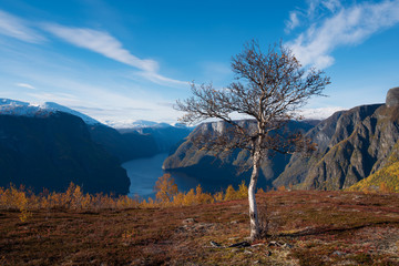 Blick auf den Aurlandsfjord an einem sonnigen Herbsttag - 252673364