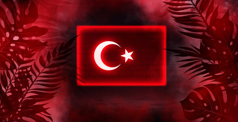 Neon Turkey flag on old brick wall background. Neon multicolored light, silhouettes of tropical leaves, smoke. National Day of Turkey. Festive background