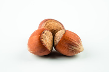 shelled hazel nuts