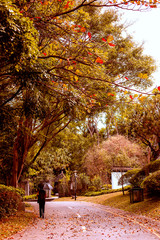 autumn landscape in the Park with a beautiful view