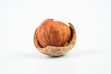 shelled hazel nuts