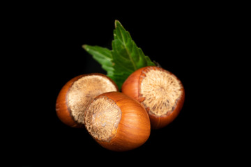 shelled hazel nuts