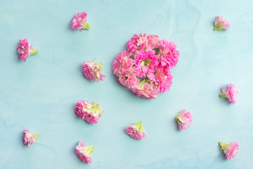 Pink Kalanchoe flowers