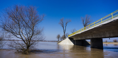bridge over the river