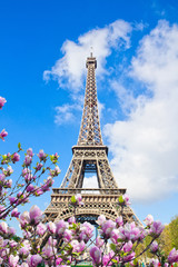 Fototapeta na wymiar Eiffel tower close up, France