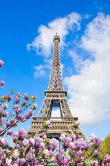 Eiffel tower close up, France