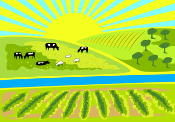 Rural landscape with vineyard, an olive grove and pasture with grazing cows and sheep. Rural sunrise landscape for farm, store or market. Milk, dairy, farm product design element.