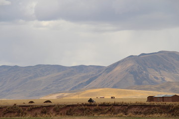 Altiplano Peru