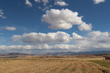 Altiplano Peru