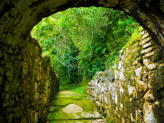 Mossy and mystic tunnel, underbridge in the middle of tropical nature