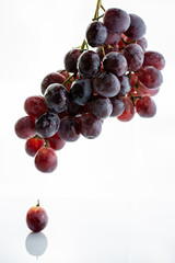 Wet red grape cluster