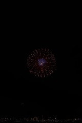 たまがわ花火大会