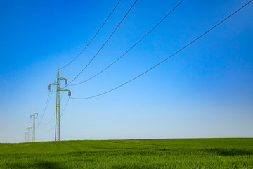 Fototapeta na wymiar Power line and green fied with blue sky