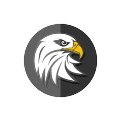 Eagle mascot logo for sport team, Eagle head icon 