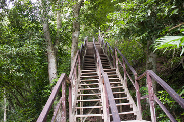 Stairs in the jungle of Tikal, Guatemala