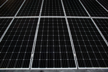 solar panels for renewable energy